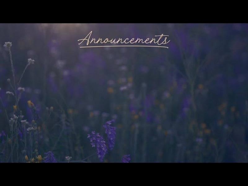 Summer Wildflower Announcements