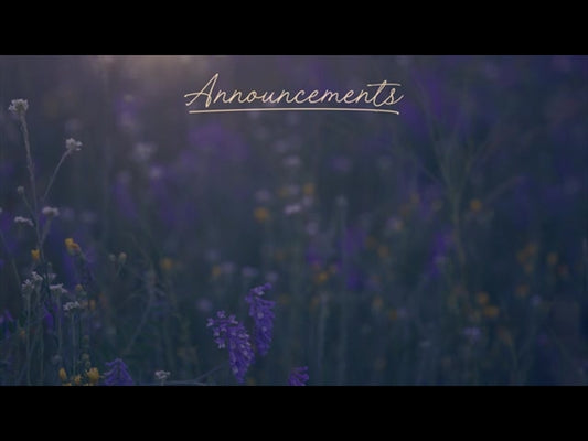 Summer Wildflower Announcements