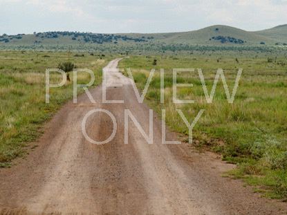 Desert Road 1