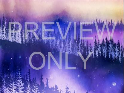 Christmas Woods 4 Still