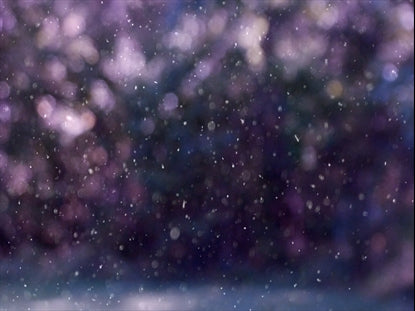 Winter Snow 8 Still