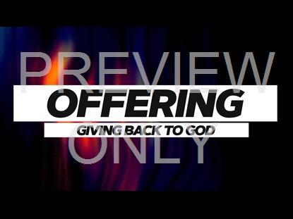 Vividry Offering Graphic