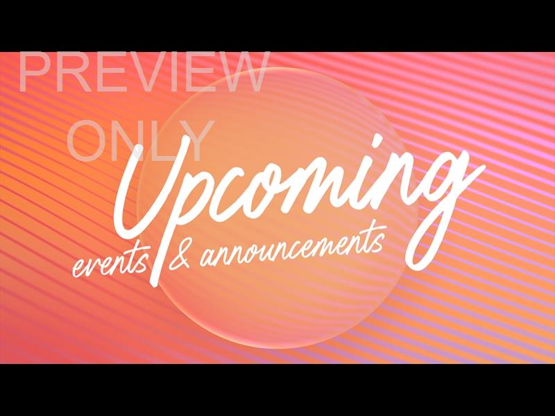 Summer Rays Upcoming Still
