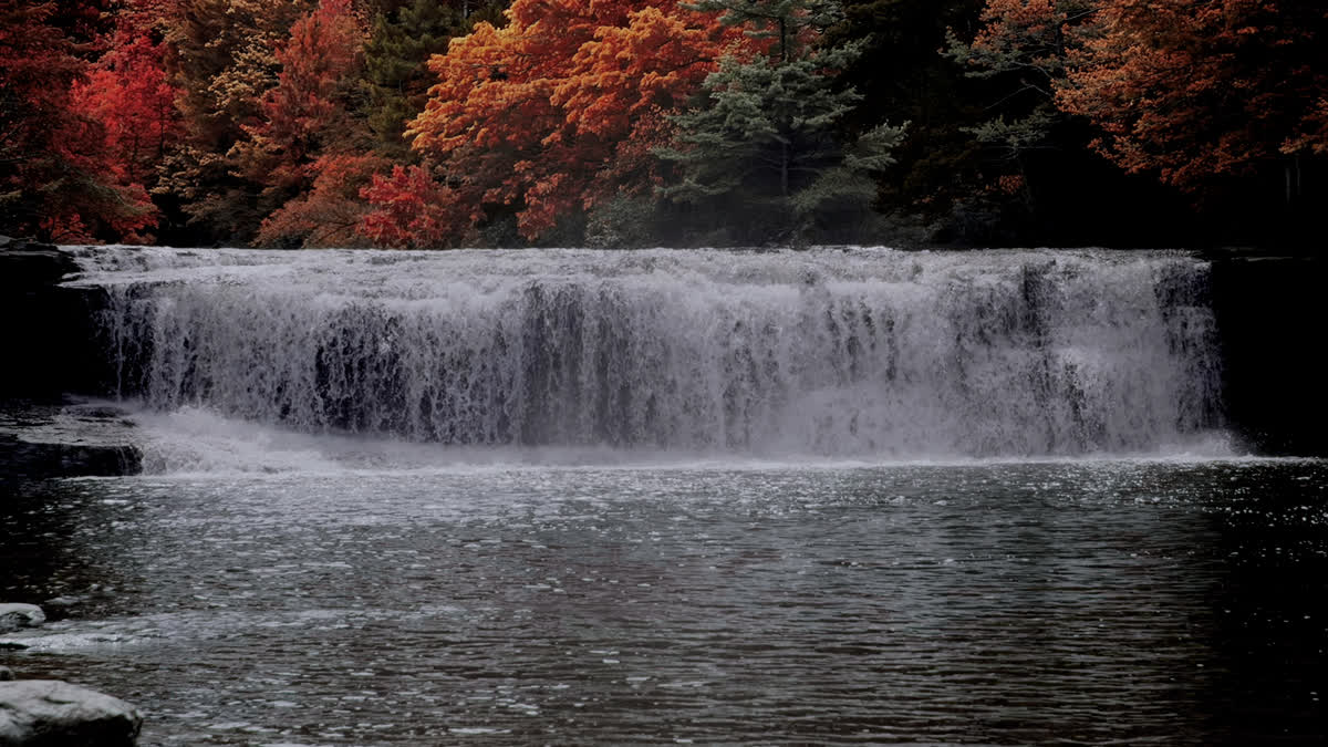Blue Ridge Waterfalls 21