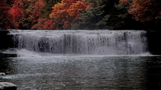Blue Ridge Waterfalls 21