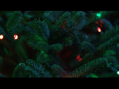 Christmas Pines Red Green Lights