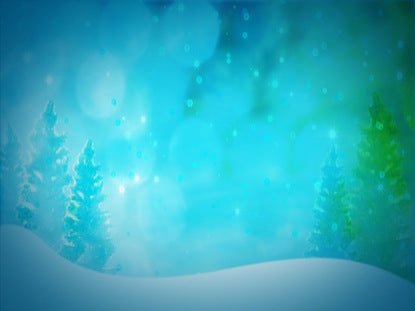 Winter Trees In Snow