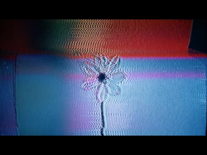 Crt Flowers 3