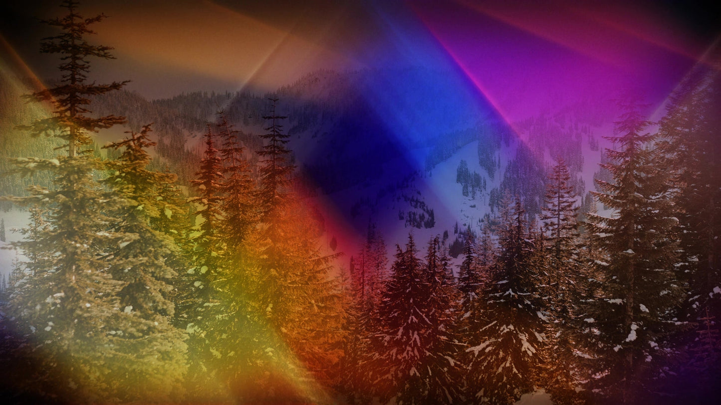 Christmas Light 14 Still