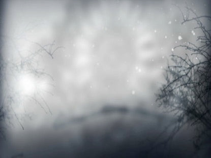 Christmas Bare Branches