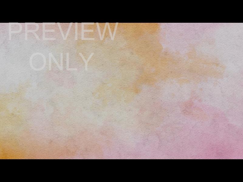 Summer Canvas Still 03