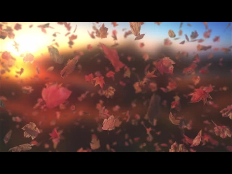 Harvest Leaves Tunnel 03