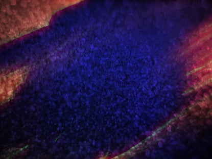 Color Dynamics Motion 9