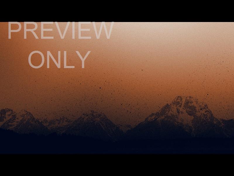 Wilderness Still 04
