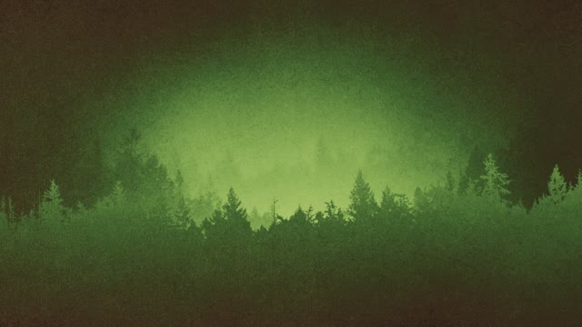 Timberline Loop 04