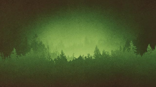 Timberline Loop 04