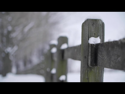 Snow Winter Background 10