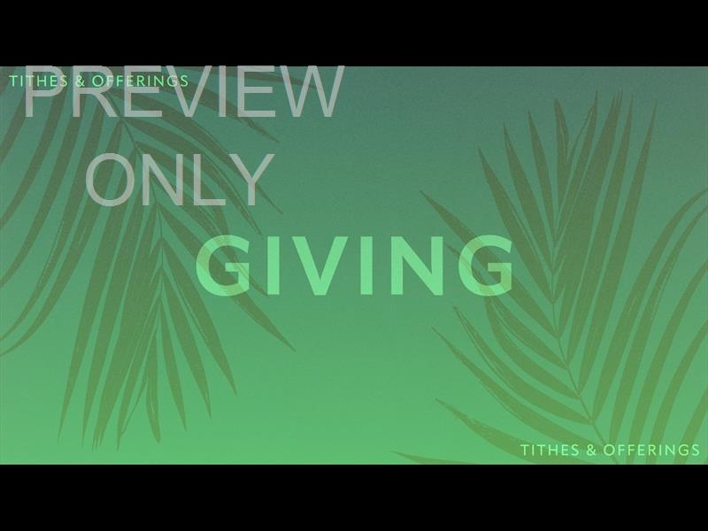 Risen Palms Giving Still