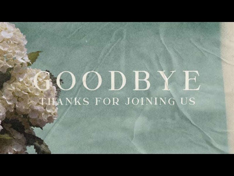 Hydrangea Goodbye
