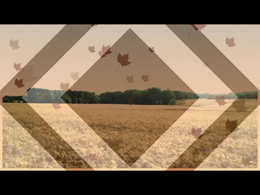 Harvest Motion Background 3