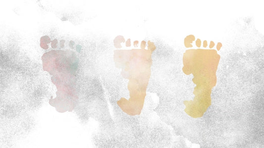 Watercolor Life 02