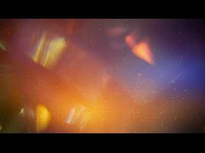 Fall Flares 19
