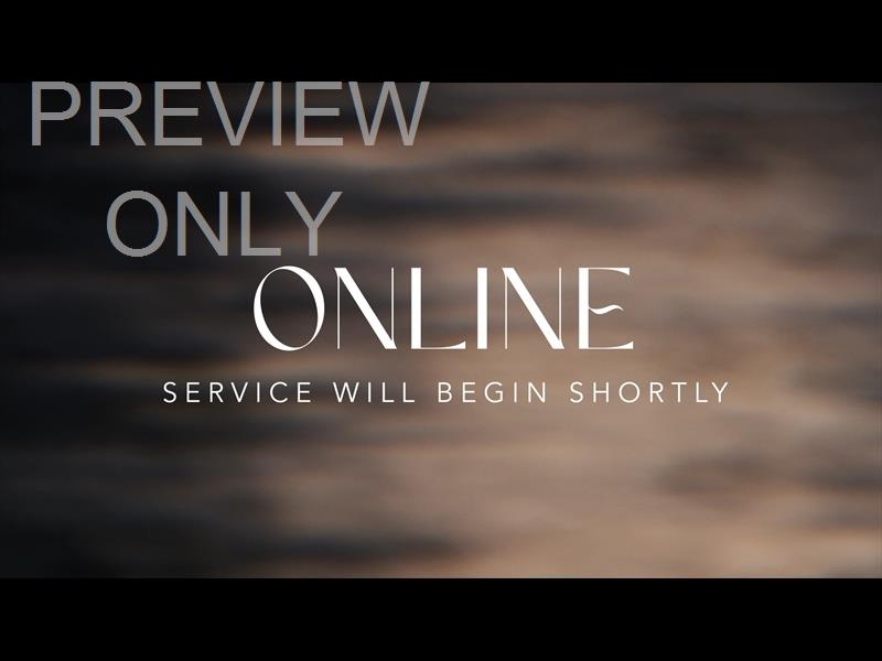 Night Light Online Still