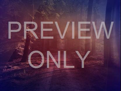 Sojourn 8 Still