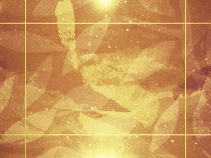 Seasonal Display Motion 2