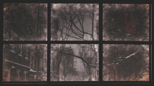 Christmas Windows 6 Still