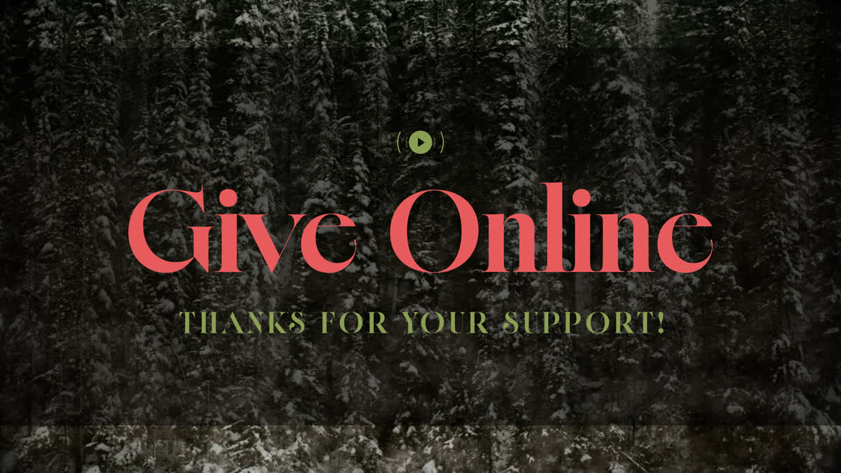 Evergreen Give Stream