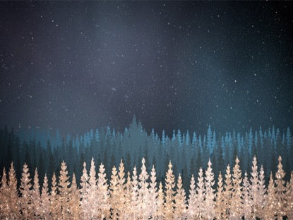 Christmas Sparkle 2