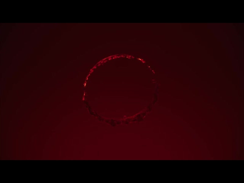 The Work Of The Son - Red Crown