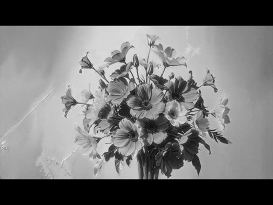 Mothers Day Motion Bw 6