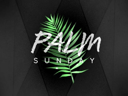 Palm Leaf Sunday Still