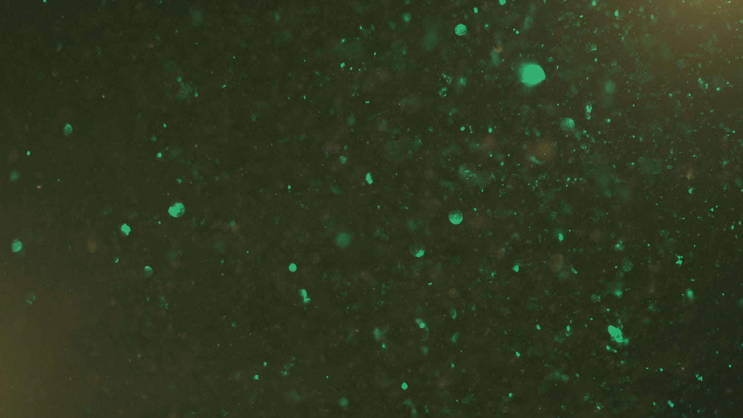 Christmas Glitter 06 Still