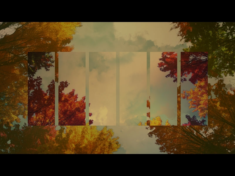 Fall Trees 4 Remix