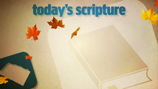 Scripture Fall