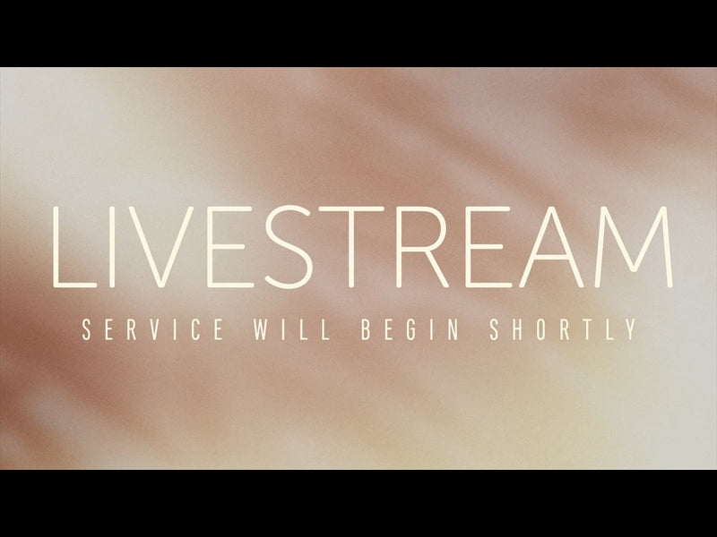 Shimmer: Livestream