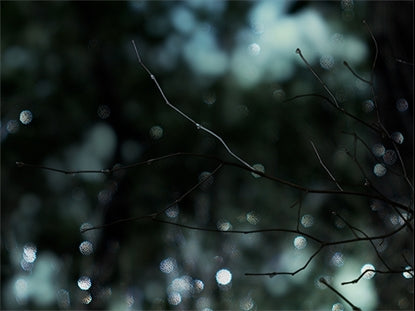 Winter Frost 7