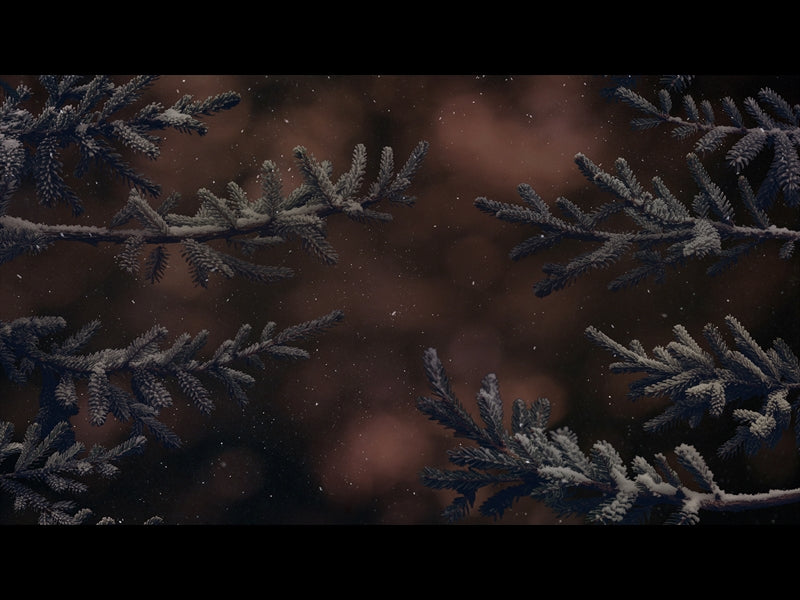 Christmas Wintertide 6