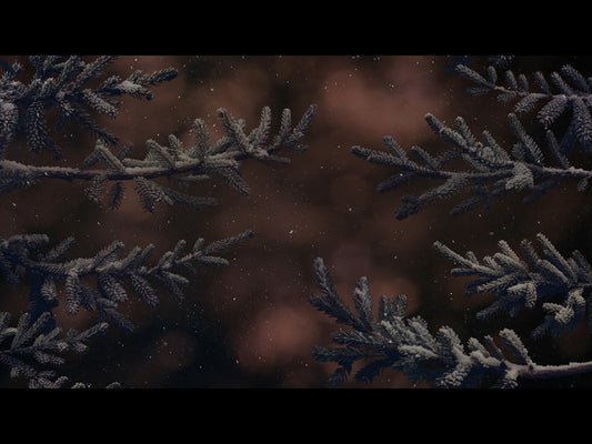 Christmas Wintertide 6