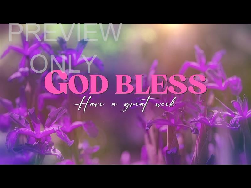 Mothers Day Garden Close Still