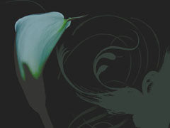 Plants 1