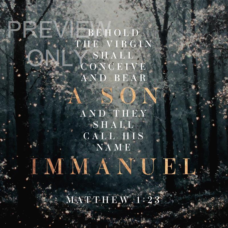 Snow Day Social Graphic Scripture