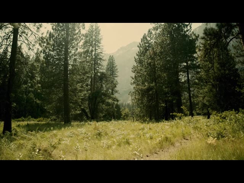 Yosemite Meadows Motion - 05