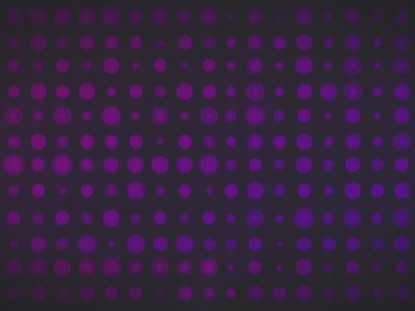 Circle Grid Purple