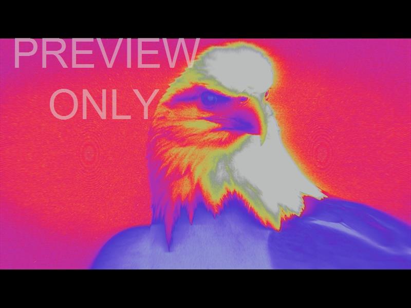 Bible Animals 2 Eagle Color Map Still