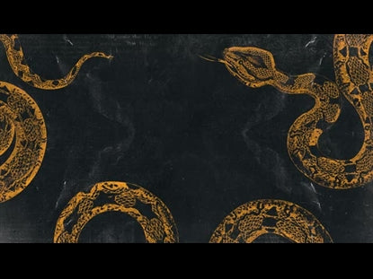Snake Dark Background