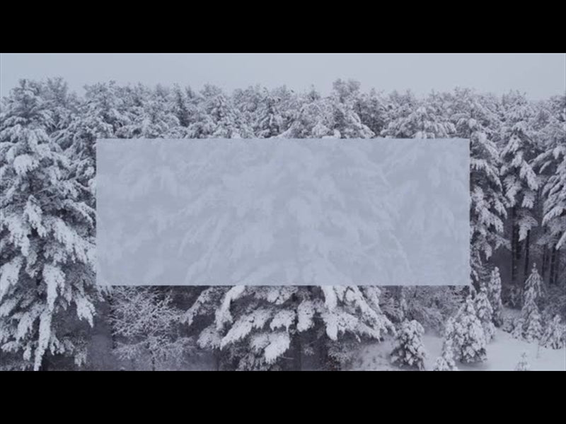 Winter Woods Drift Rectangle
